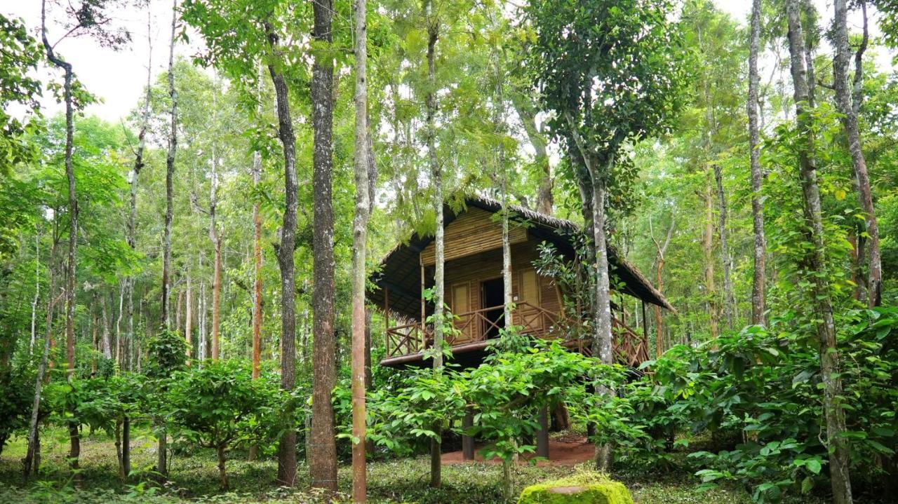 Adrak Mountain Mist Forest Resort Pulpally Exteriér fotografie
