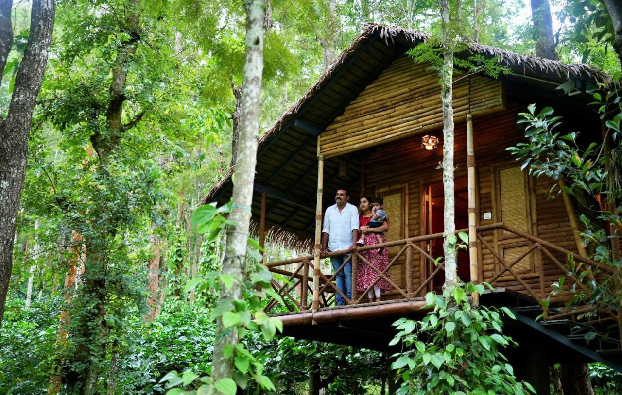 Adrak Mountain Mist Forest Resort Pulpally Exteriér fotografie