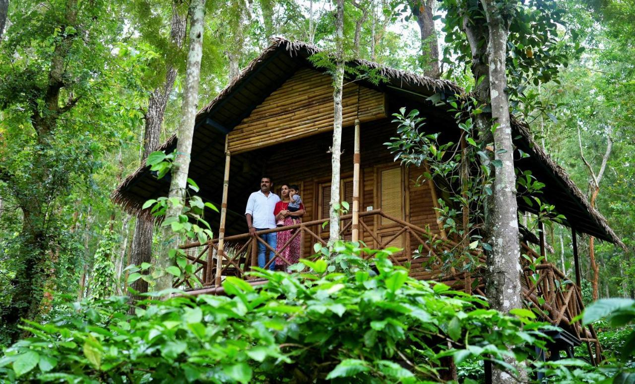 Adrak Mountain Mist Forest Resort Pulpally Exteriér fotografie